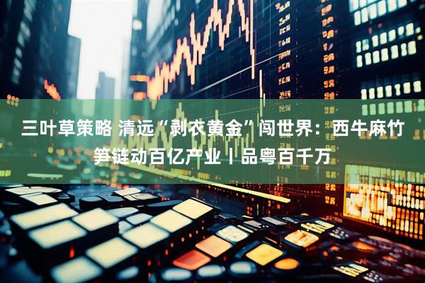 三叶草策略 清远“剥衣黄金”闯世界：西牛麻竹笋链动百亿产业丨品粤百千万