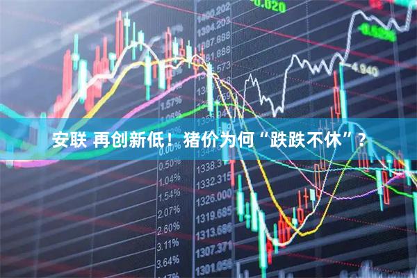 安联 再创新低！猪价为何“跌跌不休”？